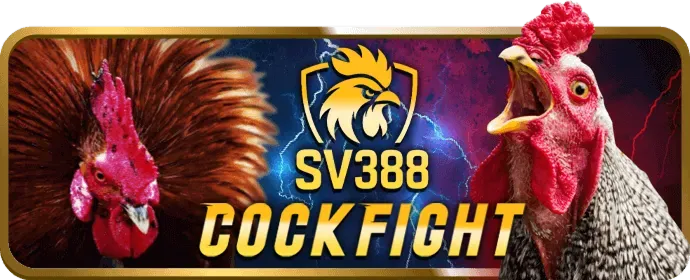 Hoàn Trả Hàng Ngày Bắn Cá bet678